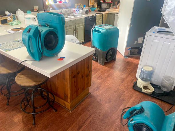 Best Water damage restoration services  in Osprey, FL