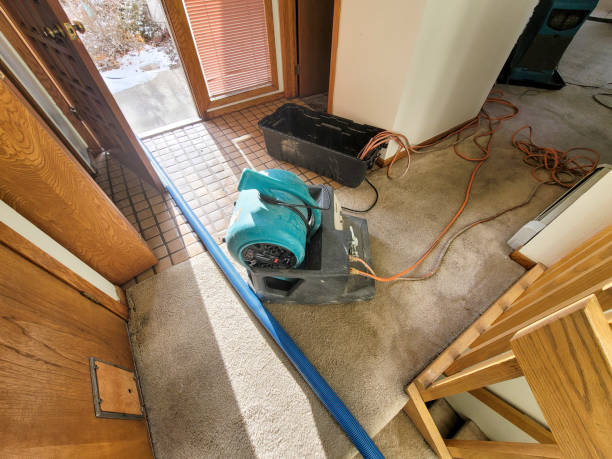 Best Flood restoration services  in Osprey, FL