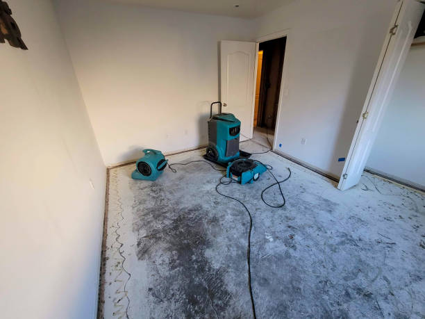 Best Carpet water damage restoration  in Osprey, FL