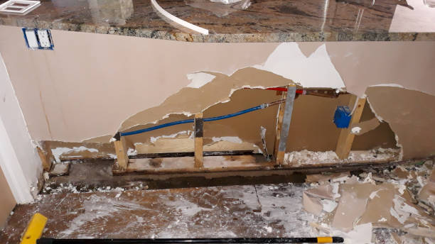 Best Water damage cleanup near me  in Osprey, FL