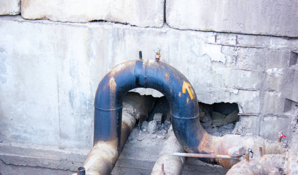 Best Water damage restoration near me  in Osprey, FL