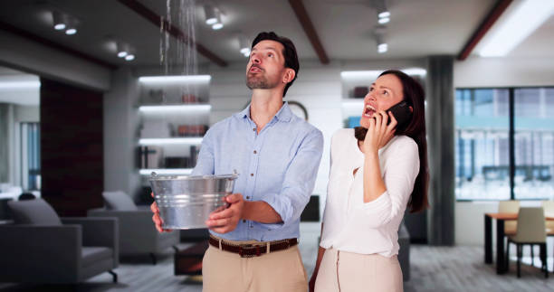 Best Fire Damage Restoration  in Osprey, FL